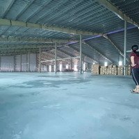 Cho Thuê 3 Xưởng Trần Đại Nghĩa, Bình Chánh , Diện Tích :1.200M2 - 2.000M2 - 3.000M2