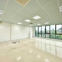 Cho Thuê Sàn Văn Phòng Trần Khắc Chân Diện Tích 220M2 Tầng 3 Đầy Đủ Pccc Giá Thuê 50 Triệu