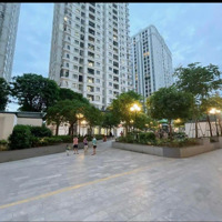 Gia Đình Cần Bán Chung Cư Iris Garden 134,6 M2; 3 Phòng Ngủ, 2 Wc