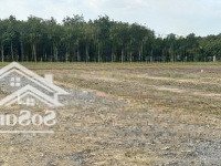 124M2 Thổ Cư Đất Phước Đông Chỉ 420 Triệu Nhận Đất Cách Kcn Phước Đông Chỉ 10P Chạy Xe