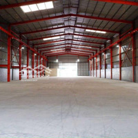 Cho Thuê Kho Xưởng 800M2, 1500M2 Khu Vực Lê Trọng Tấn, Cẩm Lệ - Đà Nẵng