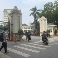 Bán Toà Ccmn Phan Văn Trường, Xuân Thuỷ. 97M2, Giá Bán 15.2 Tỷ. 7 Tầng Thang Máy, Dòng Tiền 1.2Tỷ/Năm.