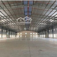 Cho Thuê 5700M2 Nhà Xưởng Trong Kcn Cẩm Giàng Pccc Tiêu Chuẩn Hạng C Đầy Đủ Thành Lập Fdi,Epe