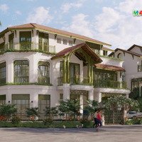 Quỹ Căn Liền Kề Đẹp Nhất Tại Sun Urban City. Kđt Vệ Tinh Cách Hà Nội 40P Lái Xe. Ck Khủng Xx%