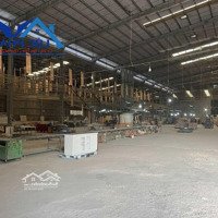 Cho Thuê Nhà Xưởng Giá Rẻ 5000M2 Chỉ 200 Triệu. Thiện Tân-Vĩnh Cửu-Đồng Nai 0375854515