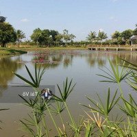 Biệt Thự View Hồ Park Riverside 12X30M 33 Tỷ - Hh 1%