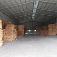 Cho thuê kho xưởng 300m2 vs 500m2 phường Bình Nhâm TP Thuận An, Bình Dương