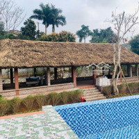 Cần Thanh Khoản Homsstay Đẹp Lung Linh Tại Muỗi-Yên Bài-Ba Vì-Hn 4600M Đất Ở 200M Sổ Hồng