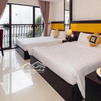 Khách Sạn 10 Tầng, Đẹp Xinh, Lung Linh Hẻm Đường Hùng Vương - Nha Trang Cách Biển 2Phút Di Chuyển