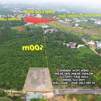 Đất Sào Lộc Đức, Cách Chợ Mới 400M. Đường Nhựa.diện Tích1000M2 Có 200M2 Thổ. Ngang 30,6Mx35,5M Hạ Bán Lỗ