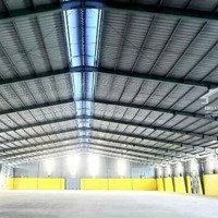 Cho Thuê Kho Quận Sơn Trà, Đà Nẵng, Kho Mới 100%, Diện Tích: 1500M2