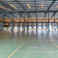 La62F1T - 31 - Cho Thuê Kho Xưởng Thạnh Hoá, Tỉnh Long An 4000M2, 5000M2, 15.000M2