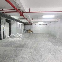 Hot, Cho Thuê Tòa Nhà, Trung Tâm Tdm 10X20 Tổng 1650M2. 1 Hầm 7 Tầng Có Pccc