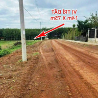 Bán Nhanh Lô Đất Ngay Điểm Giao Tuyến 4 Và Đường Xuyên Tâm 45M Ngang 10 1000M2Giá Chỉ 217 Triệu