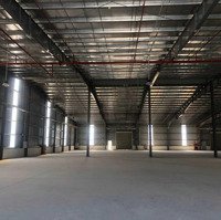 Cho Thuê Gấp Kho Xưởng 800M2 - 2000M2 - 6000M2 Khu Vực Gần Cầu Thanh Trì Pccc Tự Động (Đủ Hồ Sơ)