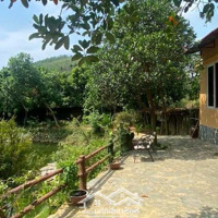 Định Cư Nước Ngoài Cần Chuyển Nhượng Homestay Đang Kinh Doanh Tại Vân Hòa, Ba Vì, Hà Nội