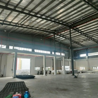 Cho Thuê Kho Xưởng Giá Hot Nhiều Diện Tích (1000M2, 2000M2) Tại Đường Tô Ký, Trung Mỹ Tây, Quận 12