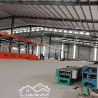 Cho Thuê Kho Xưởng Giá Hot Nhiều Diện Tích (1000M2, 2000M2) Tại Đường Tô Ký, Trung Mỹ Tây, Quận 12