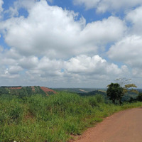 Bán Đất Gia Nghĩa. 9200M2, 70M Đường Nhựa, View Đẹp. 800 Triệu Tổng Lô.