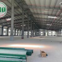 Cho thuê kho xưởng diện tích 18.000 m2 KCN Long Giang, Tiền Giang.