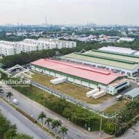 Bán Gấp 250M2 Nhựa 32M Thổ Cư Shr, Ngay Chợ Giá Bán 380 Triệu