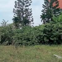 Bán đất Tân Thành - Dương Kinh - Hải Phòng