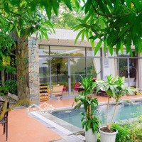 Villa View Hồ Tại Flamingo Resort Giá Rẻ