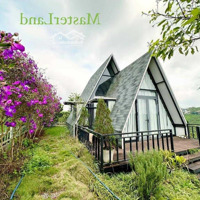 Homestay Chính Chủ Cần Bán Gấp Giá Giảm 800 Tr Full Thổ Cư Sang Sổ Nhà Như Hình Ảnh