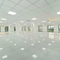 Sàn Mặt Bằng Lớn Giá Rẻ 400M2 - 600M2, Dự Án Vip - Kinh Tế Q8 Sôi Động - Chất Lượng Nhất Hcm 2024