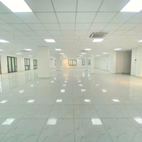 Sàn Mặt Bằng Lớn Giá Rẻ 400M2 - 600M2, Dự Án Vip - Kinh Tế Q8 Sôi Động - Chất Lượng Nhất Hcm 2024