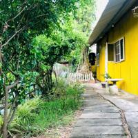 Nhà homestay view ao sen giá rẻ gần bxe bus Hưng Long