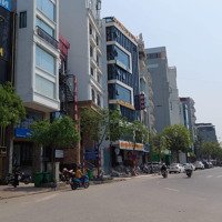 Bán Nhà Mặt Phố Lê Trọng Tấn, Hđ, 100M2,Mặt Tiền8.5M, Vỉa Hè Kd, Phù Hợp Xd Building, Giá Nhỉnh 30 Tỷ