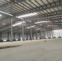 Chính Chủ Cho Thuê Kho Xưởng Tiêu Chuẩn Kcn Quang Minh: 2600M2, 3000M2, 6000M2, 10.000M2, 12.000 M2