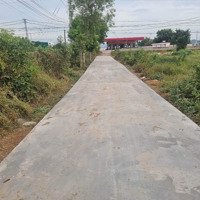 Bán Đất Diện Tích 2 Xào 4 Đất Cây Lâu Năm.đường Oto Tại Xã Hồng Liêm Huyện Hàm Thuận Bắc Bình Thuận