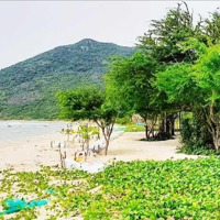 [ Mặt Biển Ninh Vân , Hơn 1Ha - 39 Tỷ ]