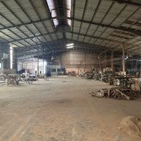 Cho Thuê Kho, Nhà Xưởng Giá Bán 70 Triệu Vnd Tại Bình Dương