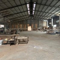 Cho Thuê Kho, Nhà Xưởng Giá Bán 70 Triệu Vnd Tại Bình Dương