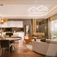 Giỏ Hàng Boulevard Royale Rẻ Đẹp Nhất, Tặng Ngay 1% Và Nhiều Quà Tặng Cho Khách Quan Tâm