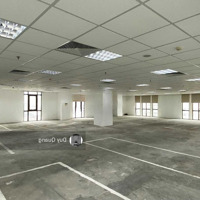 Building Ngay Golden Plaza Hồng Bàng - 11X25M - 1000M2 - Hầm 5 Tầng - Hđt: 300 Triệu/Tháng - Giá Bán 80 Tỷ