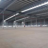 Cho thuê xưởng 3000m2 KCN Mỹ Phước 4, Bến Cát, Bình Dương