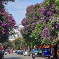 Bán Nhà Mặt Đường Quang Trung Điểm Đẹp View Vườn Hoa, Có Thang Máy, Nhà Mặt Tiền Rộng Cần Bán Gấp.