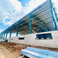 Xưởng 6300M2 Vp 200M2 Mới Xây Dựng. Hoàn Công, Nghiệm Thu Pccc Tự Động Sx Đa Ngành Nghề Gỗ Trắng