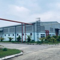 Cho Thuê 2600M2 Kho Chứa Hàng Có Pccc Đầy Đủ , Xe Cont Vào Trong Kho Được