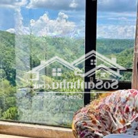 Hạ Giá Bán Nhanh Đất View Thung Lũng Thông Hiếm Có Đường 3/4 Đà Lạt Vị Trí Cửa Ngõ