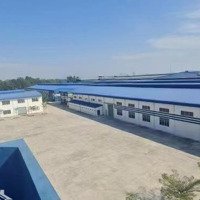 Xưởng Cho Thuê Ở Khu Công Nhiệp Bình Dương Factory For Rent At Binh Duong New City Industrial Park