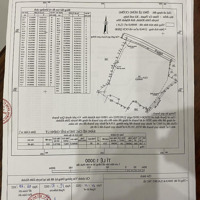 Chính Chủ Bán Lô Đất Diện Tích Lớn Tại Diên Khánh Khánh Hòa. Pháp Lý: Sổ Đỏ Chính Chủ, Giá Tốt