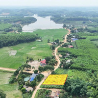 Vị Trí Hiếm - Full Thổ Giá Siêu Rẻ, Cách Kcn Lam Sơn Sao Vàng ~1Km, Cách Hồ Ngô Công 800M