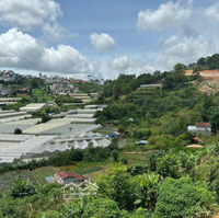 Cần Bán 5000M Đất Nông Nghiệp View Thung Lũng Tại An Sơn - Phường 4- Đà Lạt