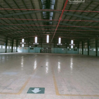 Nhà Xưởng Cho Thuê 2300M2, Pccc Tự Động, Pháp Lý Đầy Đủ, Giá Thuê 55K/M2