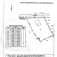 Đất Mặt Tiền Đường Trung An Củ Chidiện Tích7800M2 Thổ Cư 300M2 Giá 13 Triệu/M2Diện Tích62X126M